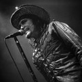 Click to enlarge GutterPunk - Professional Concert Photography